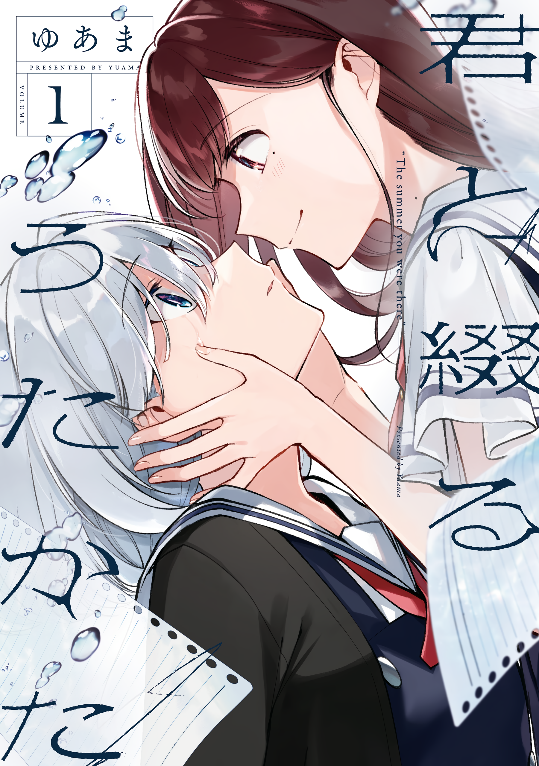 The Summer You Were There (english language, Seven Seas)