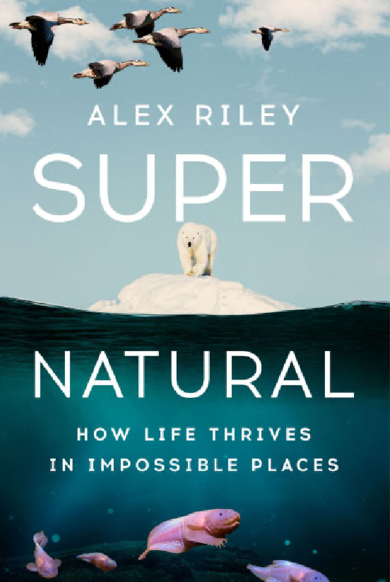 Super Natural