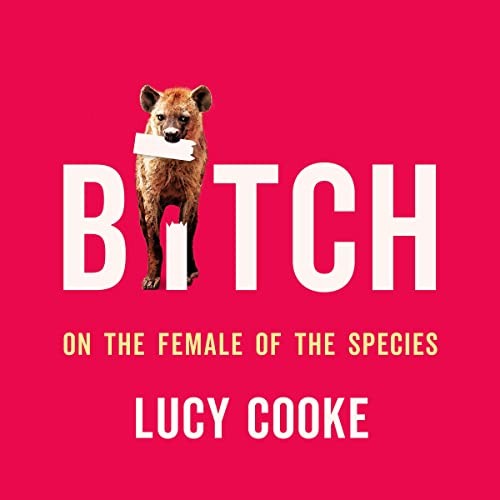 Bitch (AudiobookFormat, 2022, Hachette B and Blackstone Publishing)