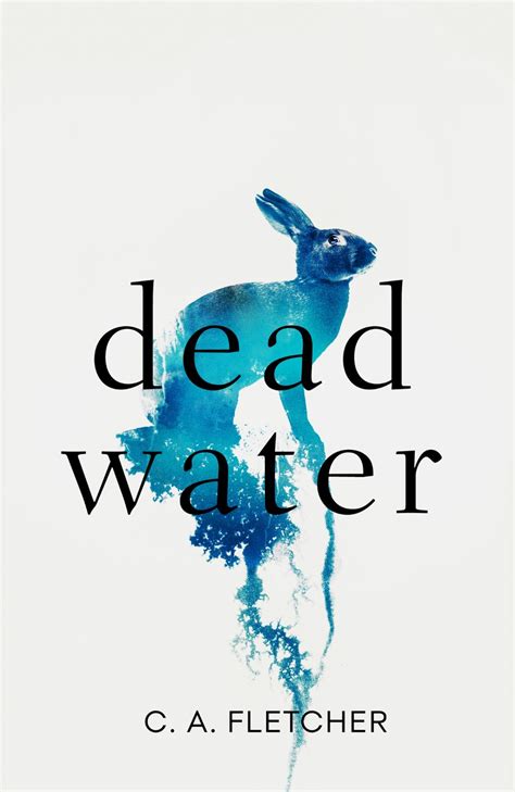 Dead Water (2022, Little, Brown Book Group Limited)