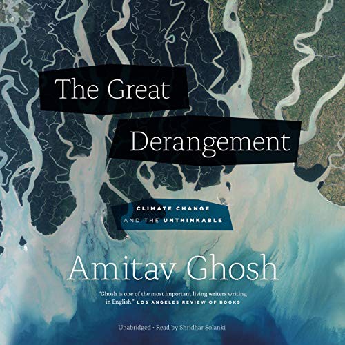 The Great Derangement (AudiobookFormat, 2020, Blackstone Publishing)
