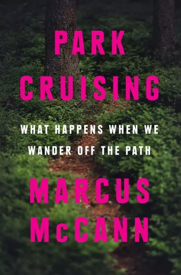 Park Cruising (Paperback, 2023, House of Anansi Press)