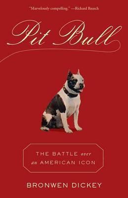 Pit Bull (2017)