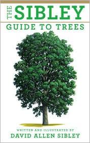 Sibley Guide to Trees (Paperback)