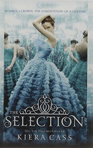 The Selection (Hardcover, 2013, Perfection Learning)