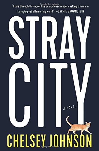 Stray City: A Novel (2018, Custom House)