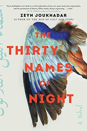 The Thirty Names of Night (Hardcover, 2020, Atria Books)