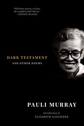 Dark Testament (Paperback, 2018, Liveright)