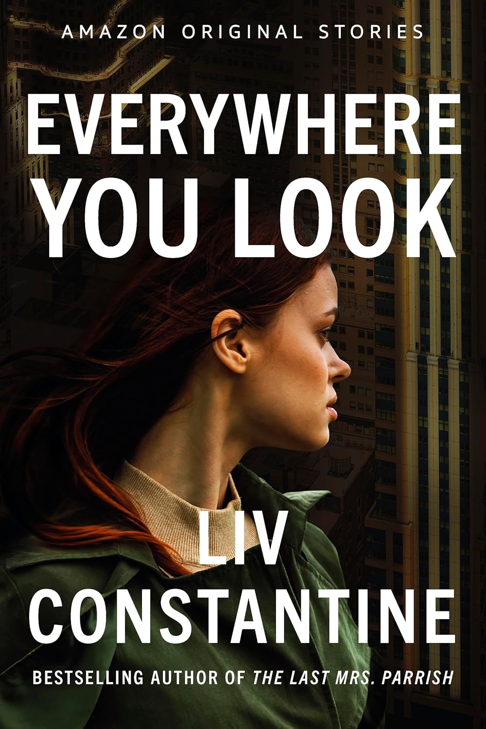 Everywhere You Look (EBook, 2024, Amazon Original Stories)