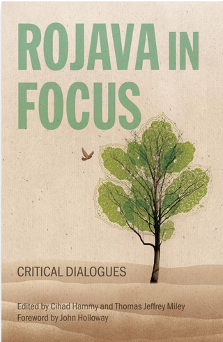 Rojava in Focus (2025, AK Press Distribution)