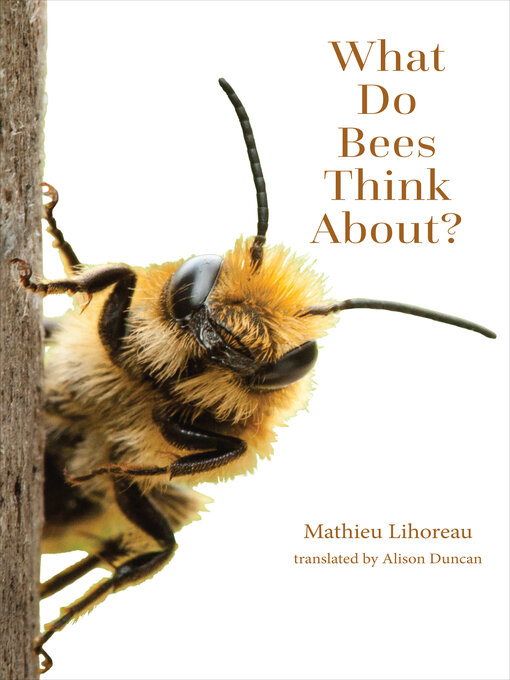What Do Bees Think About? (2024, Johns Hopkins University Press)
