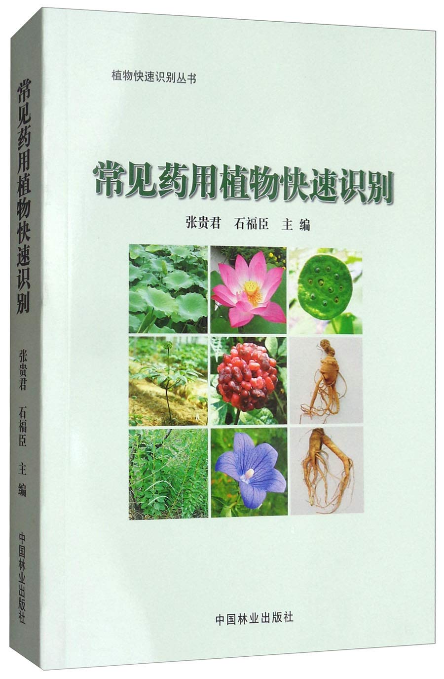 常见药用植物快速识别 (Paperback, chinese language, 中国林业出版社)