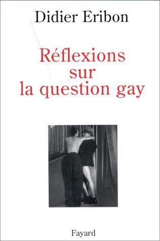 Réflexions sur la question gay (French language, 1999)