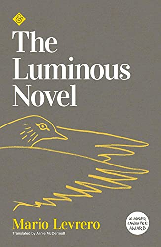 The Luminous Novel (Paperback, 2021)