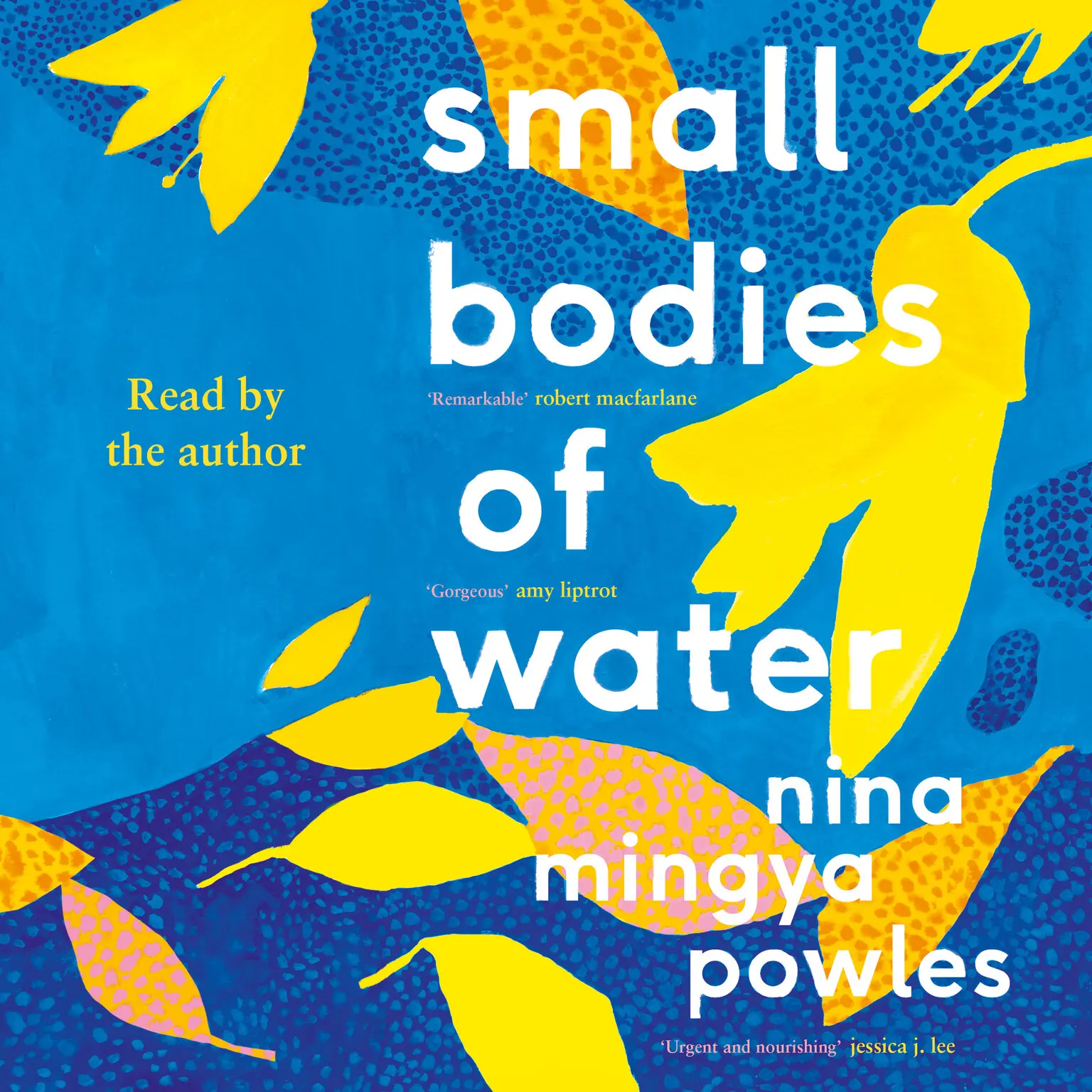 Small Bodies of Water (AudiobookFormat, 2021, Canongate Books)