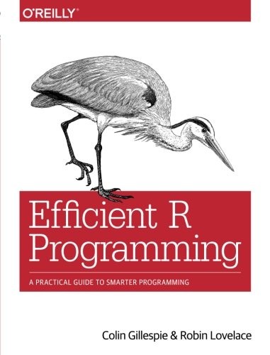 Efficient R Programming: A Practical Guide to Smarter Programming (2017, O'Reilly Media)