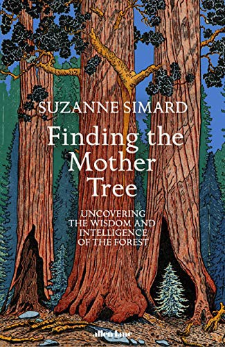 Finding the Mother Tree (Paperback, ALLEN LANE)