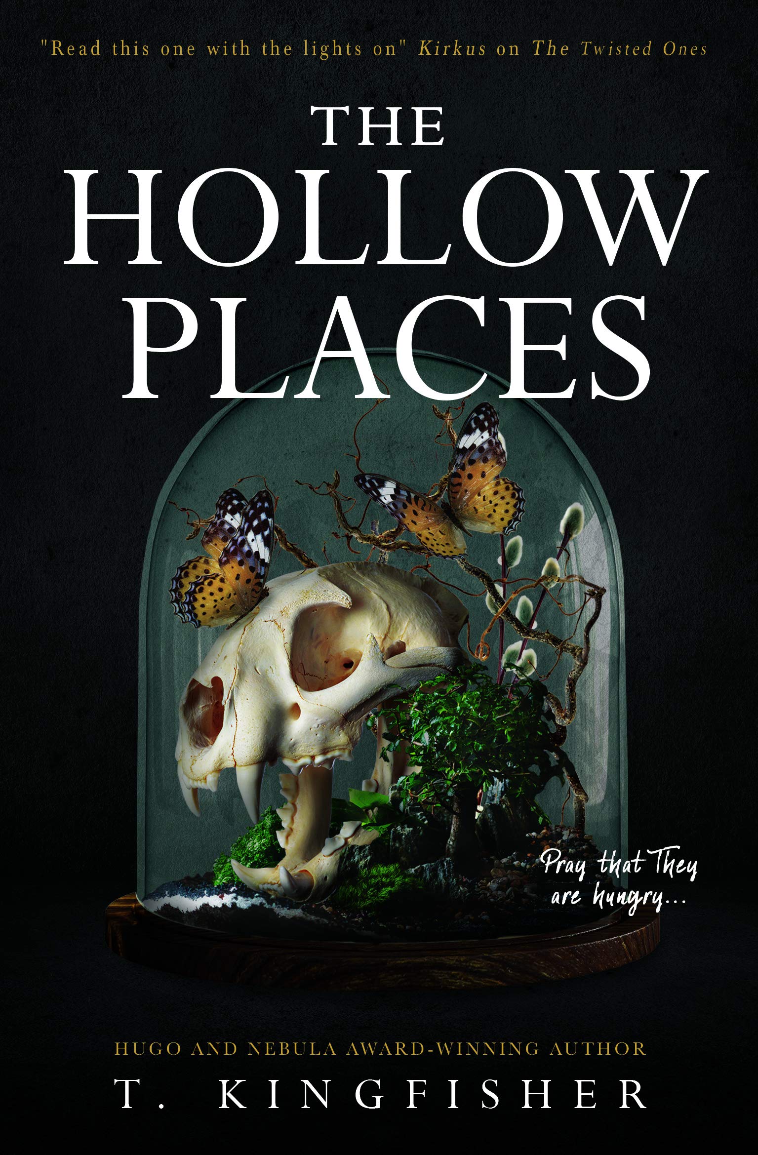The Hollow Places (2020)