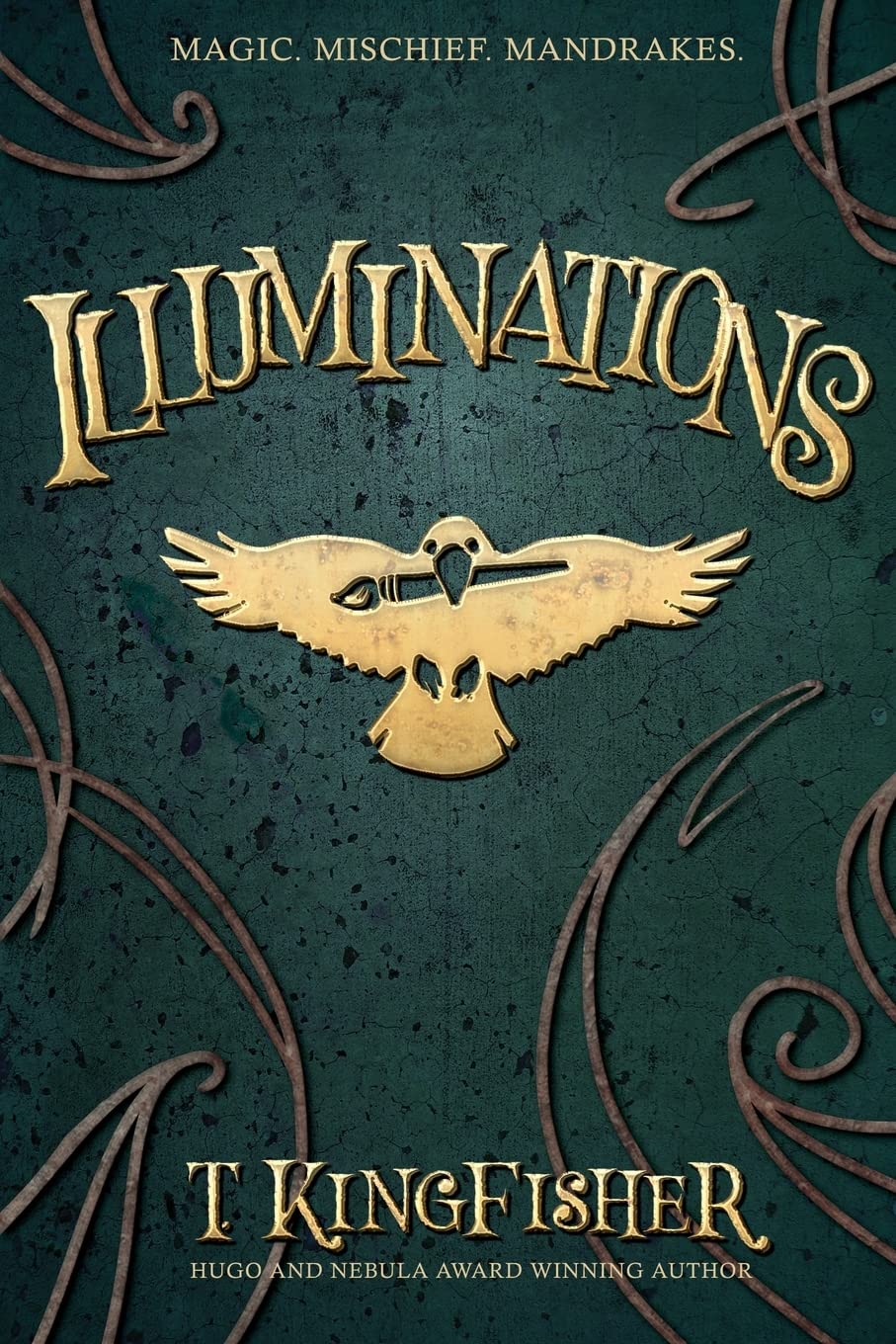 Illuminations (Paperback, 2022, Argyll Productions)
