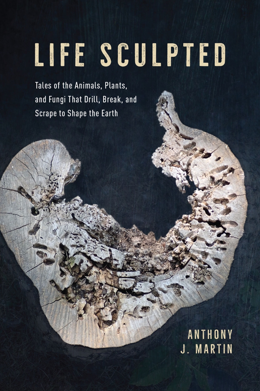 Life Sculpted: Tales of the Animals, Plants, and Fungi That Drill, Break, and Scrape to Shape the Earth (Hardcover, 2023, University of Chicago Press)