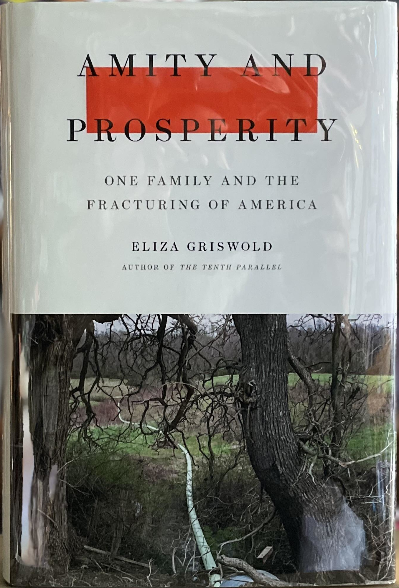 Amity and Prosperity (Hardcover, 2018, Farrar Straus and Giroux)
