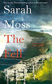 The Fell (Hardcover, 2022, Farrar, Straus and Giroux)