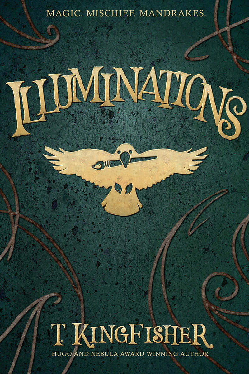 Illuminations (Paperback, 2022, Argyll Productions)
