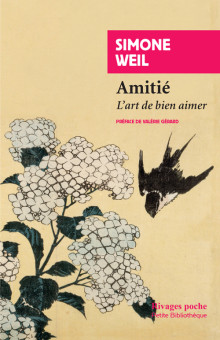 Amitié (2016, Éditions Payot & Rivages)