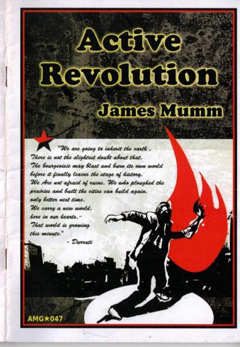 Active Revolution (Paperback, 2010, Anarchistische Mediengruppe)