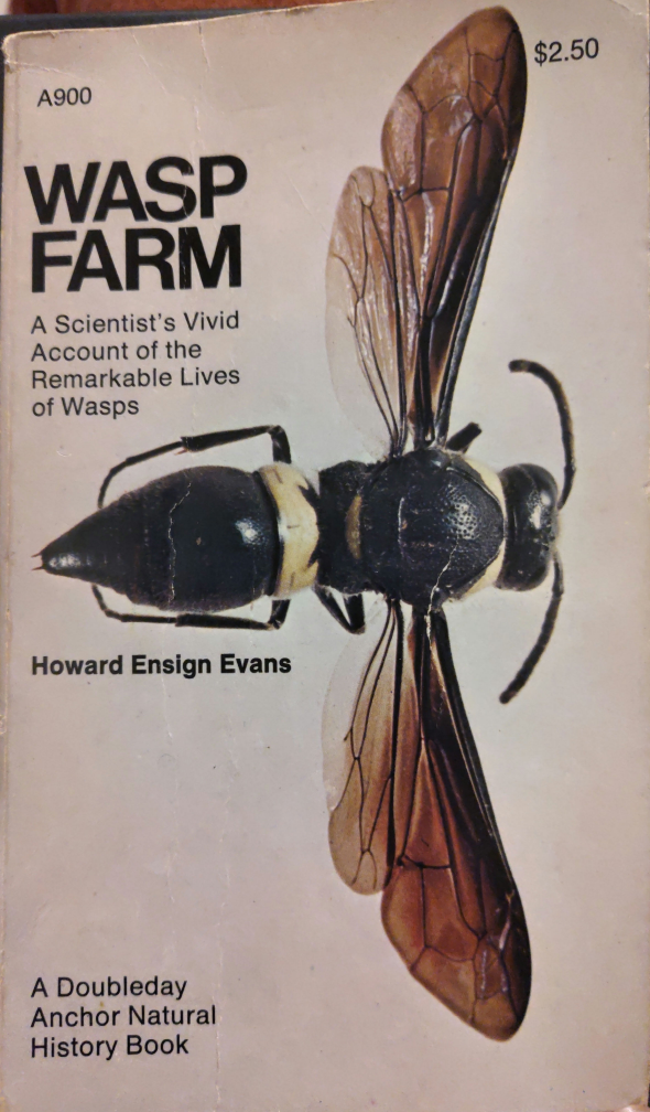 Wasp Farm  (Paperback, 1973, Anchor Books)