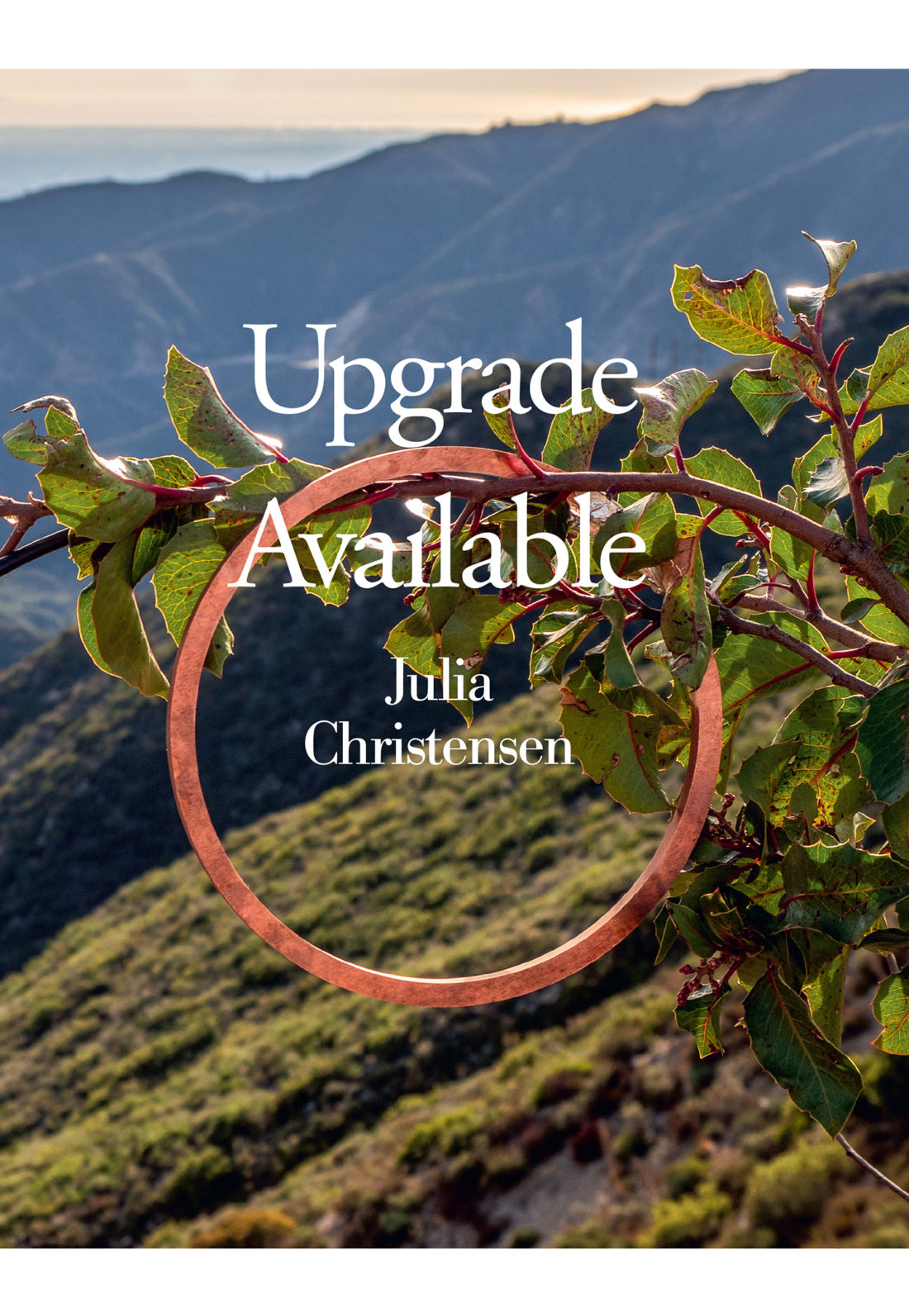 Upgrade Available (2020, Dancing Foxes Press)