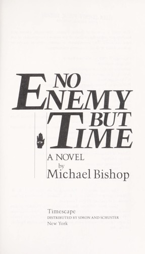 No enemy but time : a novel