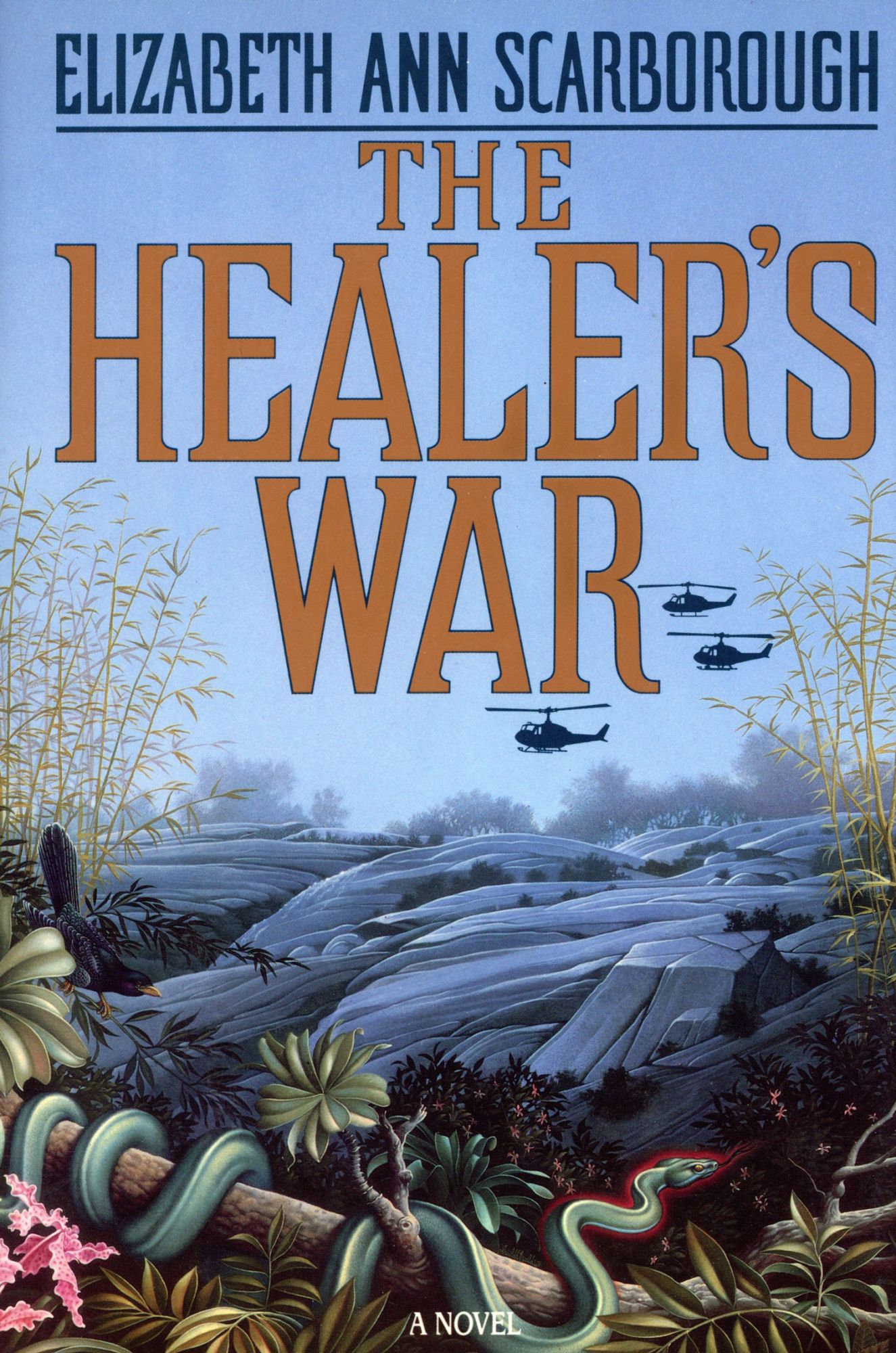 The Healer's War (Hardcover, 1988, Doubleday)