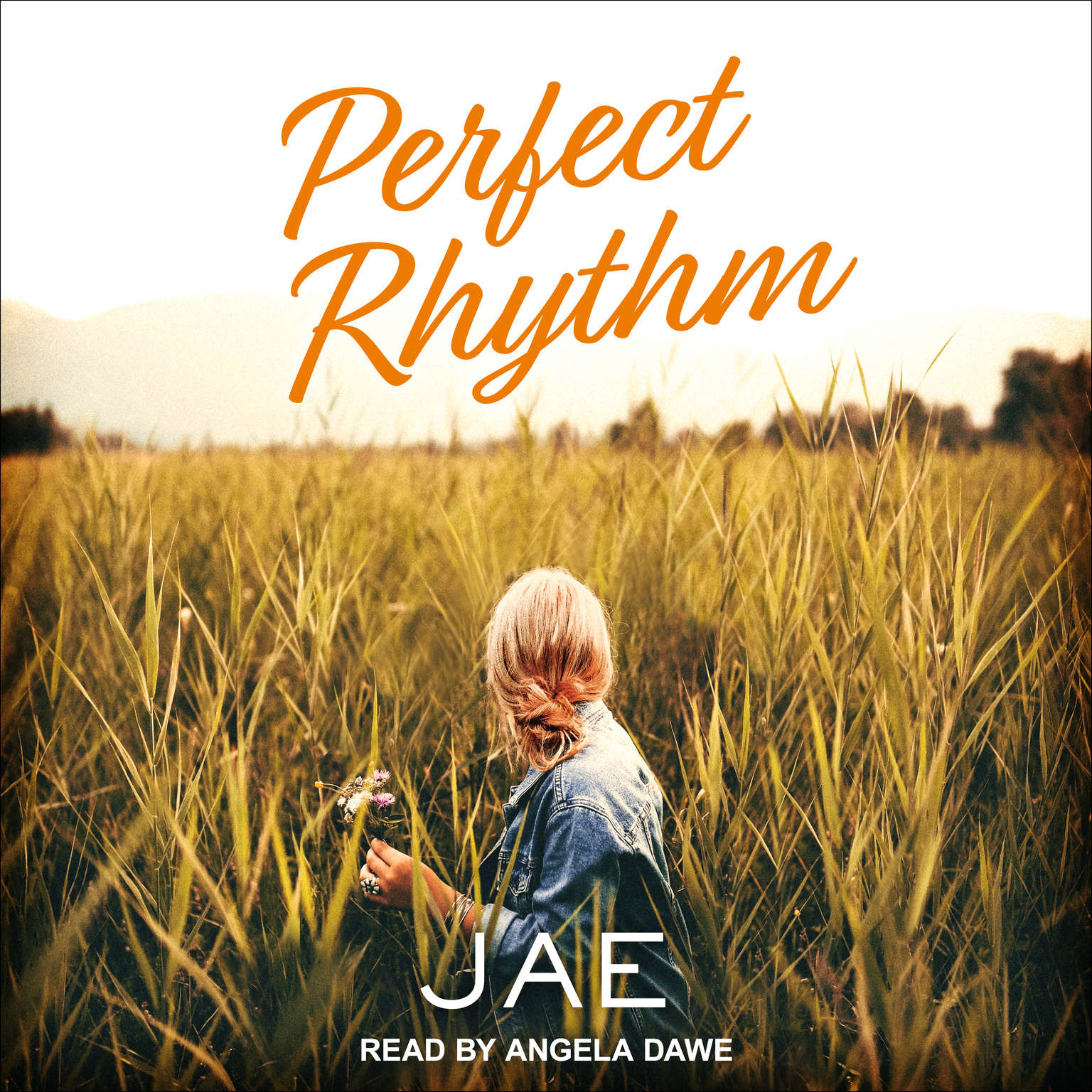 Perfect Rhythm (Paperback, 2017, Ylva Publishing)