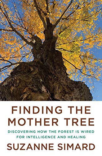 Finding the Mother Tree (Hardcover, 2021, Knopf)