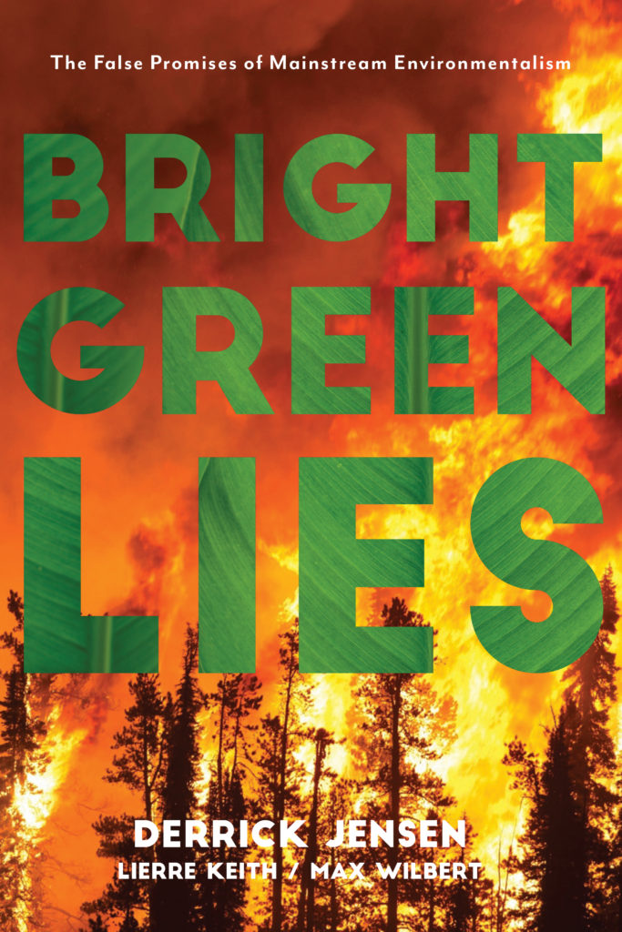 Bright Green Lies (2021, Monkfish Book Publishing Company)