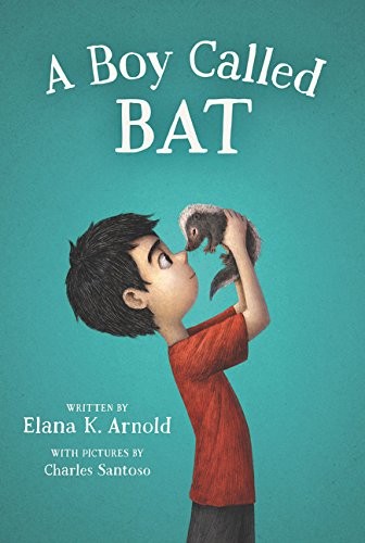 A boy called Bat (2017)