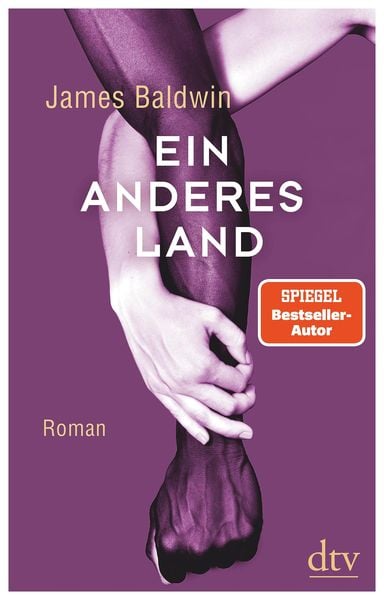 Ein anderes Land (Hardcover, dtv)