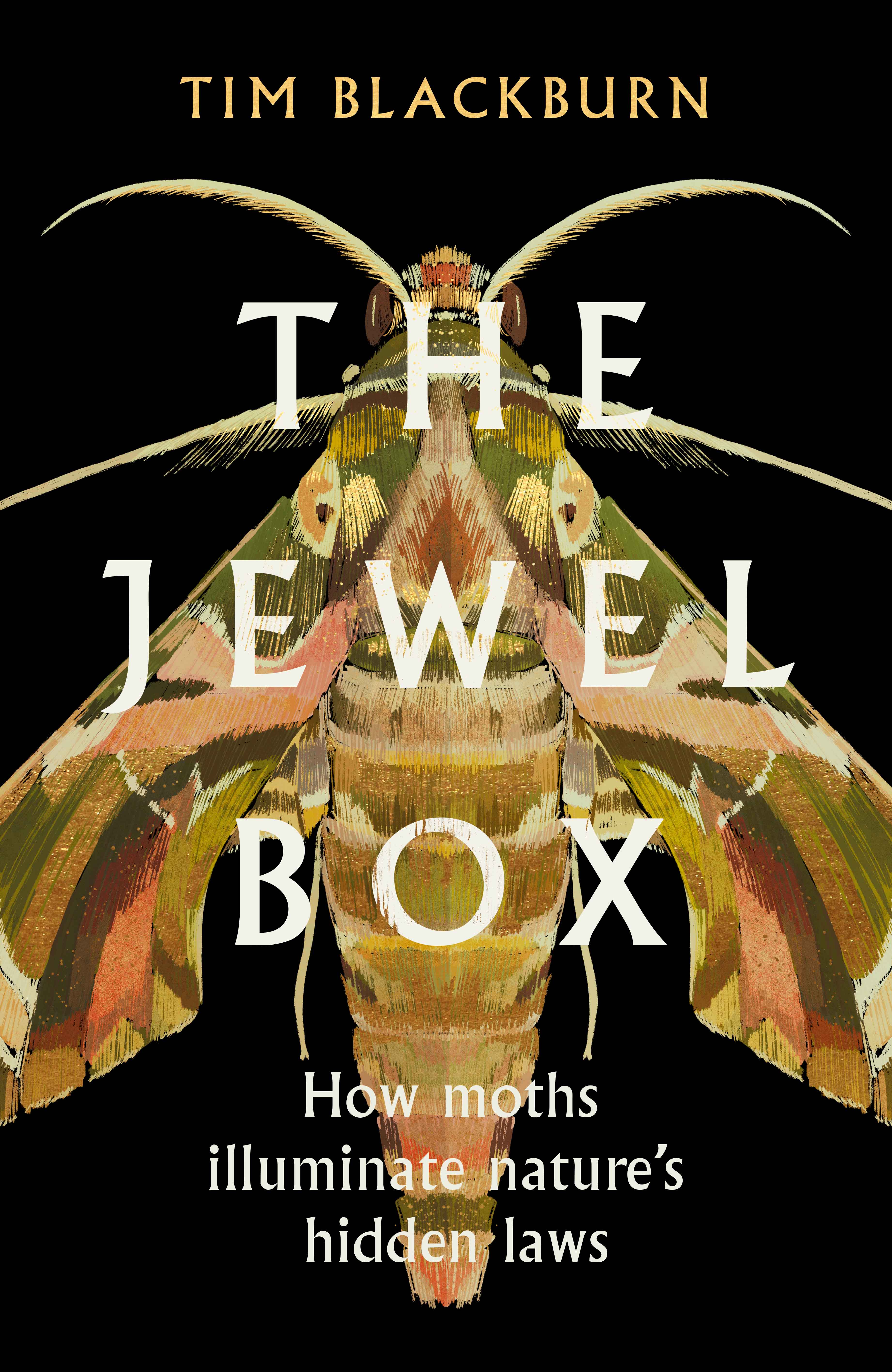 The Jewel Box (Hardcover, 2023)