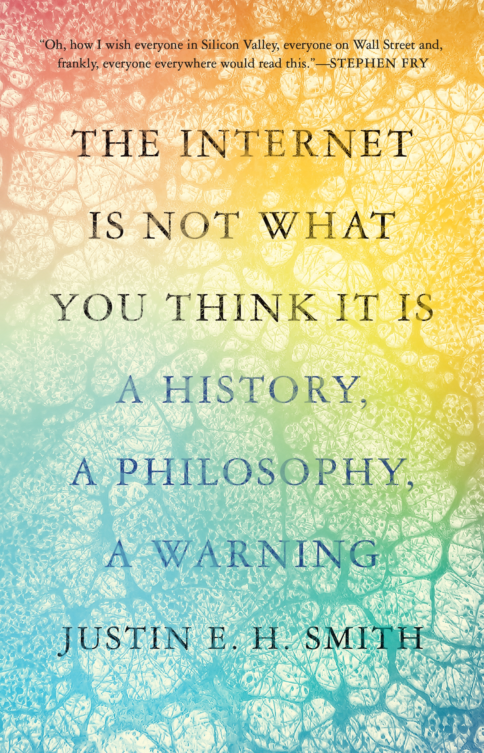 The Internet Is Not What You Think It Is (Hardcover, Princeton)