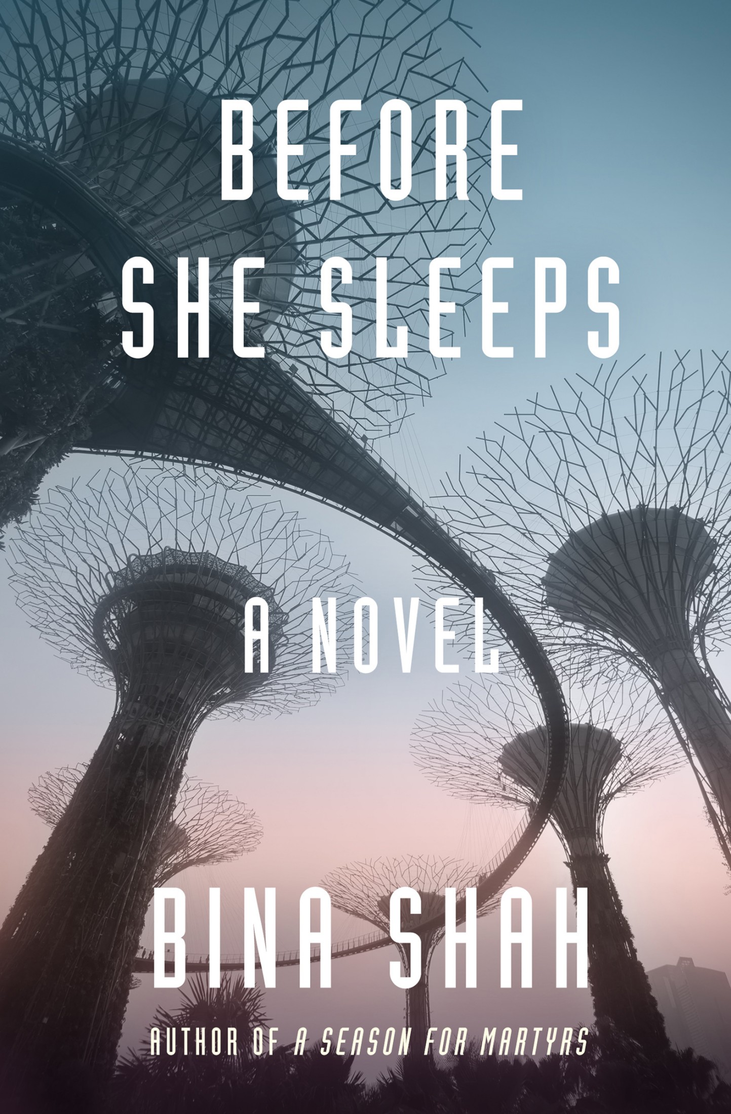 Before She Sleeps (EBook, 2018, Open Road Integrated Media, Inc.)