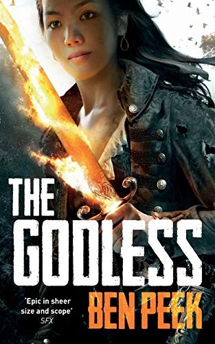 The Godless (Paperback, 2015, Pan MacMillan)