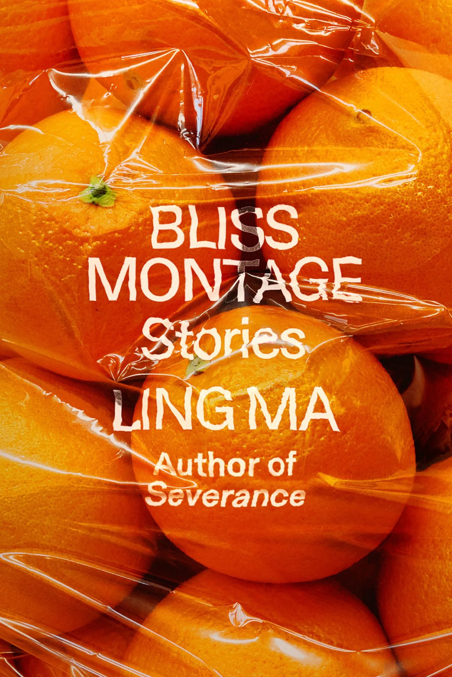 Bliss Montage (2022, Farrar, Straus & Giroux)