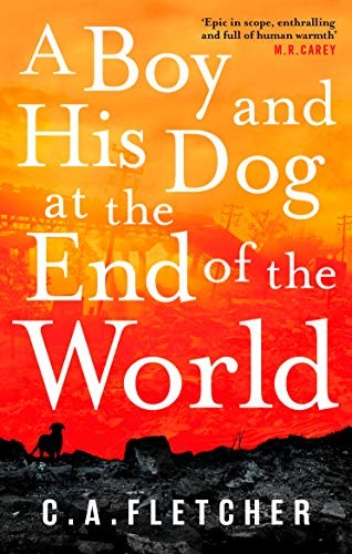 A Boy and his Dog at the End of the World (Paperback, 2019, Orbit)