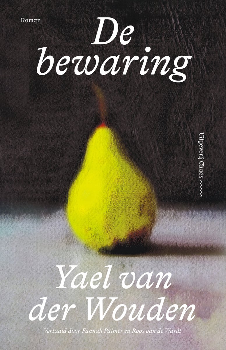 De Bewaring (EBook, Nederlands language, 2024, Uitgeverij Chaos)