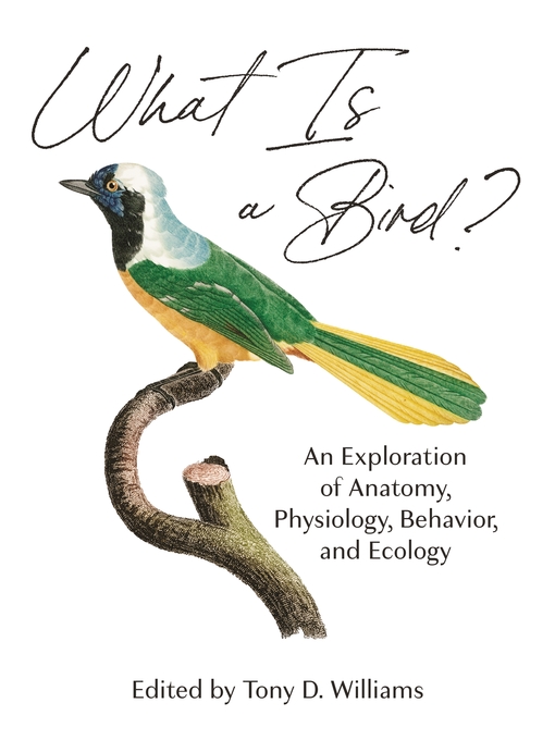 What Is a Bird? (2021, Princeton University Press)