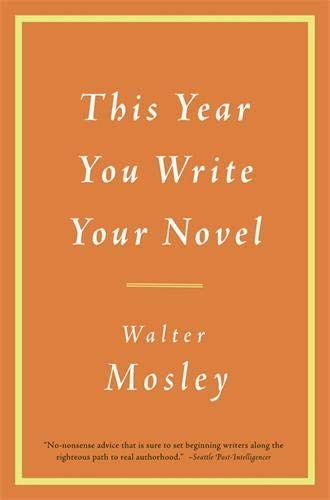 This Year You Write Your Novel (2009, Little, Brown and Company)