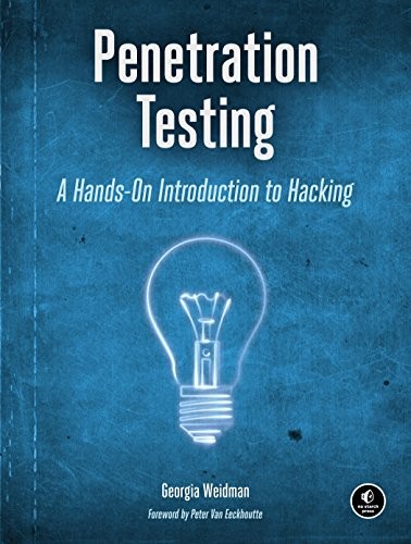 Penetration Testing (Paperback, 2014, No Starch Press)