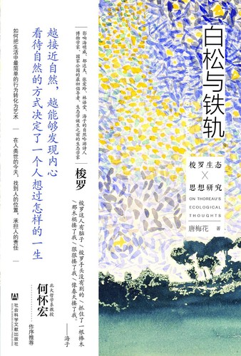 白松与铁轨 (Chinese language, 2023, 社会科学文献出版社)