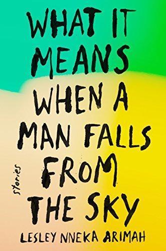 What It Means When a Man Falls from the Sky (2017)